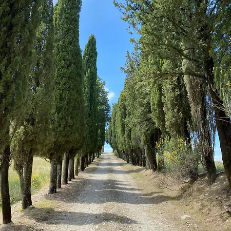 Poggio Dei Cipressi Villa