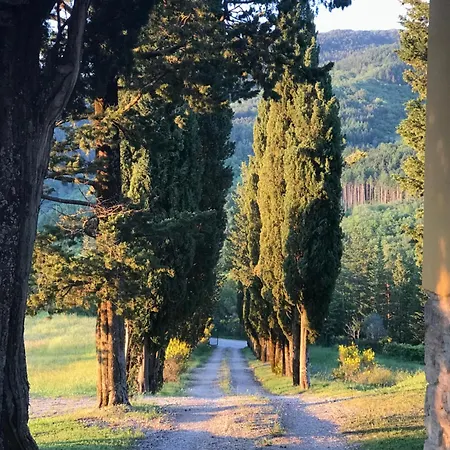 Poggio Dei Cipressi Subbiano