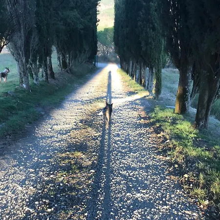 Poggio Dei Cipressi Villa