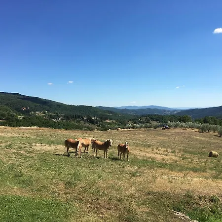 Villa Poggio Dei Cipressi *