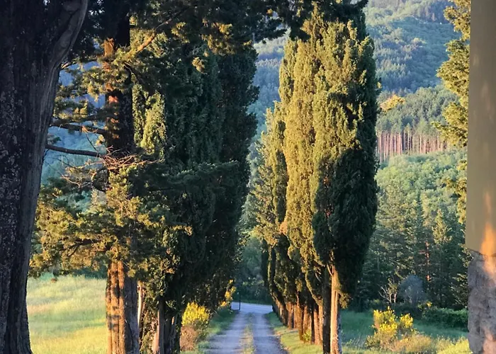 Poggio Dei Cipressi Subbiano