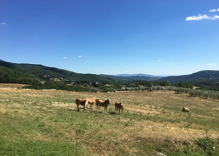 فيلة Poggio Dei Cipressi *